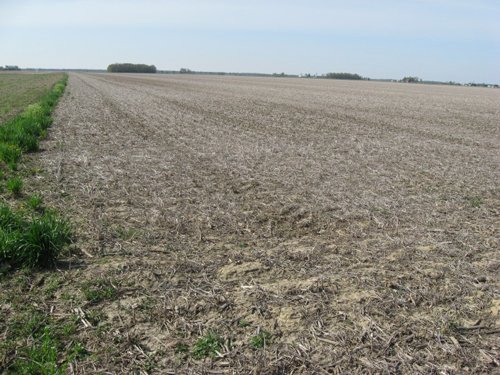Property photo 33 - 172 Acres Offered in 3 Tracts - Prime Farmland